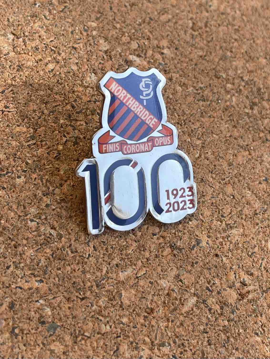 Centenary Pin