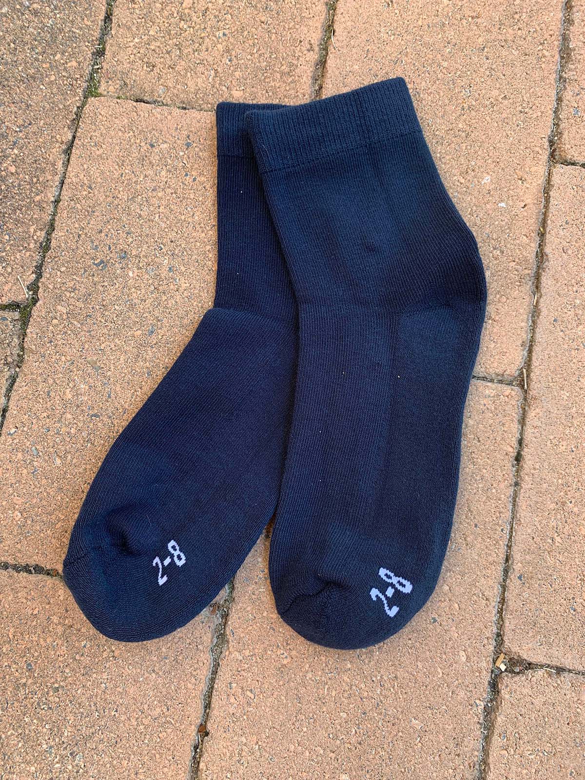 Navy Socks (Two pairs)