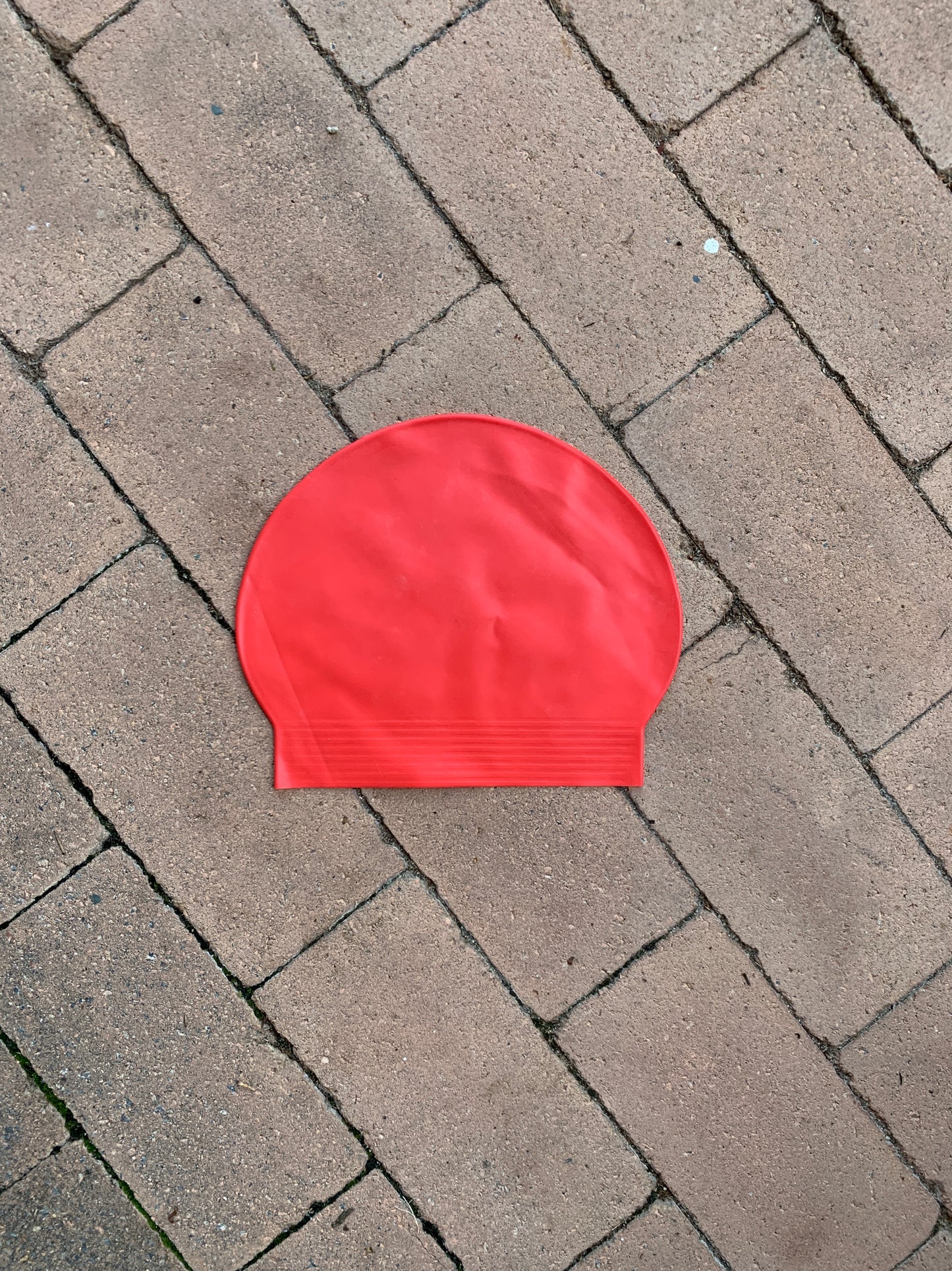 House Colour Swim Cap